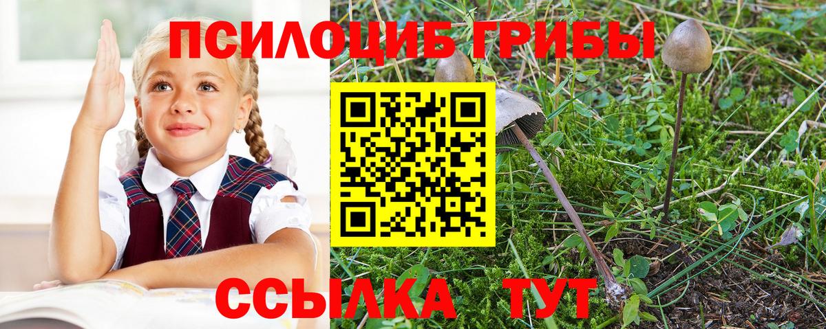 Псилоцибиновые грибы ЛСД  Псилоцибиновые грибы мицелий  Можга  Вход с VPN 