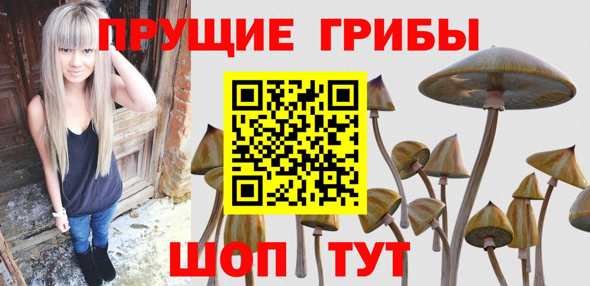 Псилоцибиновые грибы MAGIC MUSHROOMS Можга